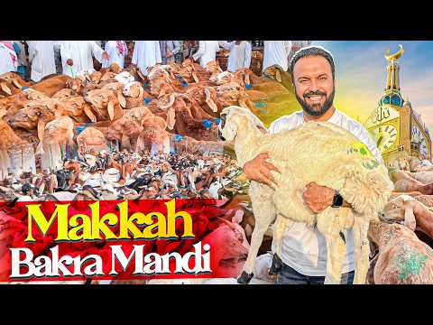 INSIDE Makkah Bakra Mandi 🐐 High Prices??😱 Before Hajj 2026! 🤍 thumbnail