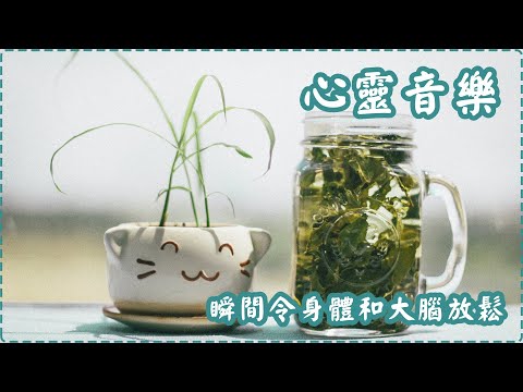 心靈音樂 瞬間令身體和大腦放鬆【1小時】 有助多巴胺分泌 入眠、放鬆、舒緩、休息 Relaxing Music, Soothing Music thumbnail
