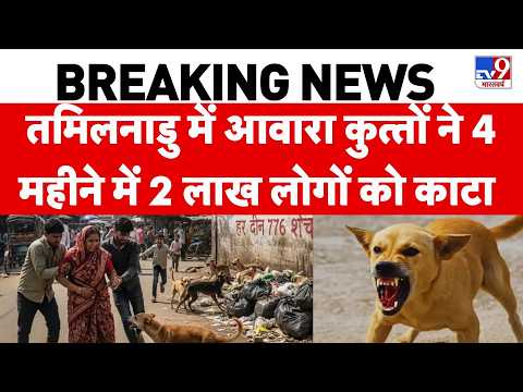 Breaking News: तमिलनाडु में आवारा कुत्‍तों ने 4 महीने में 2 लाख को काटा | Stray Dogs | Dog Attack thumbnail
