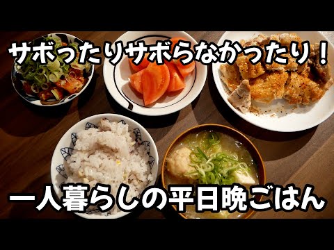 冷凍食材に感謝！サボったりサボらなかったり、一人暮らし平日晩ごはん【家計簿vlog⑧】 thumbnail