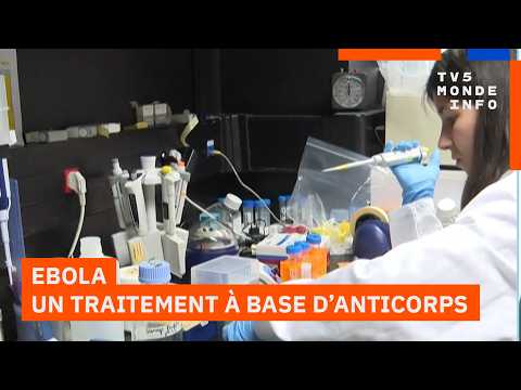 Biothérapie : Les anticorps envisagés pour lutter contre Ebola thumbnail