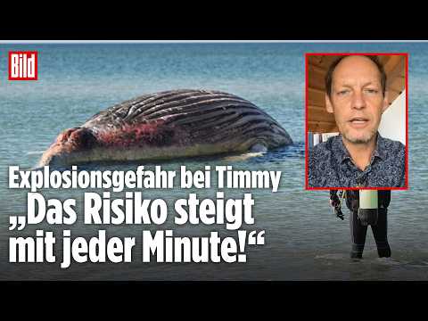 Wal-Experte Fabian Ritter warnt: Explosion von Timmy sollte dringendst vermieden werden! thumbnail