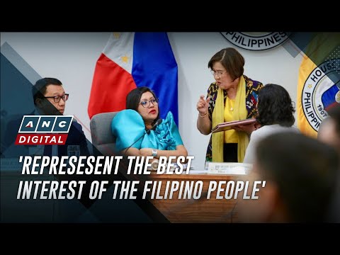House prosecutors fulfilling constitutional duty, representing Filipinos' best interest - Luistro thumbnail