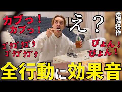 兄の行動に合わせて効果音を付けたら精神崩壊したwww【ドッキリ】 thumbnail