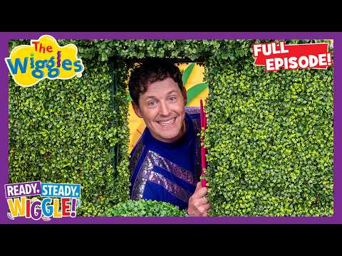 Trimming The Hedges  - Ready, Steady, Wiggle S8E24 🎶 The Wiggles thumbnail