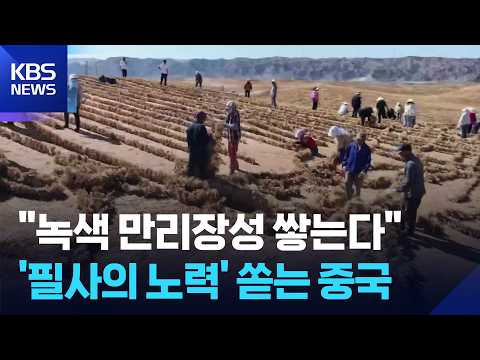 [글로벌K] 사막 둘러싸는 녹색 만리장성…중국, ‘사막을 자원으로’ / KBS  2026.05.30. thumbnail