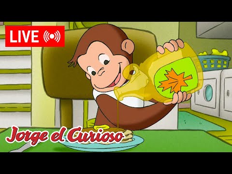 LIVE 🔴 Episodios de Jorge El Curioso 🐵 ¿Un árbol de jarabe de maple? 🍁🥞  + Más! thumbnail