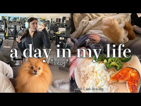 A DAY IN MY LIFE *aggiornamenti studio nuovo* | MelissaTani thumbnail