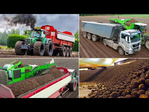 Potato Harvest and Storage | Fendt 824 - MAN Agrar Truck - AVR Puma 4.0 | vd Borne Aardappelen thumbnail