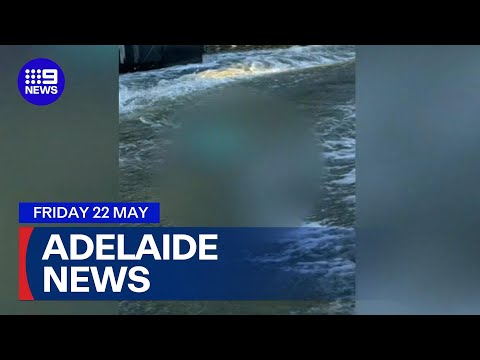 9News Adelaide | Friday, May 22 | Full Episode thumbnail
