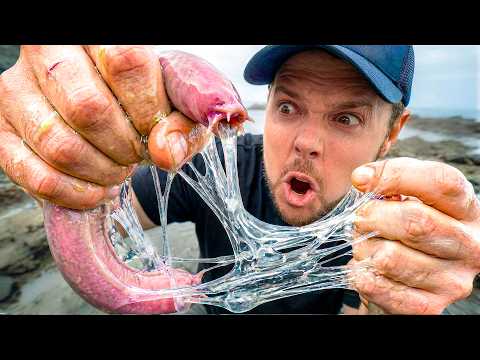SLIMED! Up close with the Slimiest Creatures on Earth! thumbnail