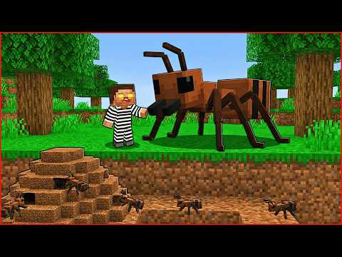 AREF'in BOYU KÜÇÜLDÜ! 😱 - Minecraft thumbnail