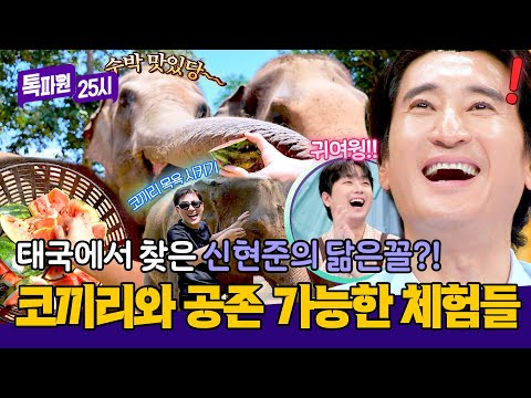 태국 속 힐링 오아시스🪽 코끼리와 교감할 수 있는 '엘리펀트 헤이븐'🐘 | 톡파원 25시 211회 | JTBC 260525 방송 thumbnail