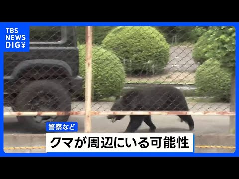 男女4人襲って工場に居座ったクマ 自力で窓の鍵開けて逃走か　自ら蛇口開けて水飲む姿も…「極めて知能性のあるクマ」 福島市｜TBS NEWS DIG thumbnail