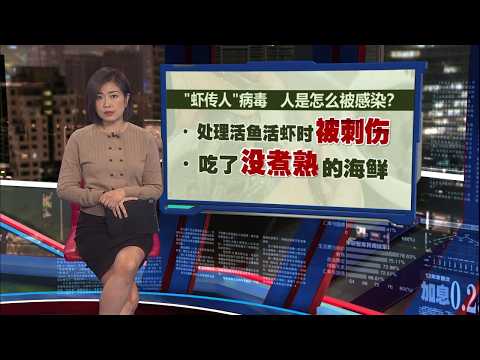 泰国虾6月禁进口   大马渔业总会: 国内养殖虾料涨30% | 新闻报报看 27/05/2026 thumbnail