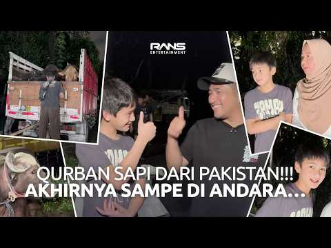 IRFAN HAKIM KIRIM 6 SAPI QURBAN KE ANDARA!! RAFATHAR WAKILIN RAFFI TERIMA SAPINYA LANGSUNG!!! thumbnail