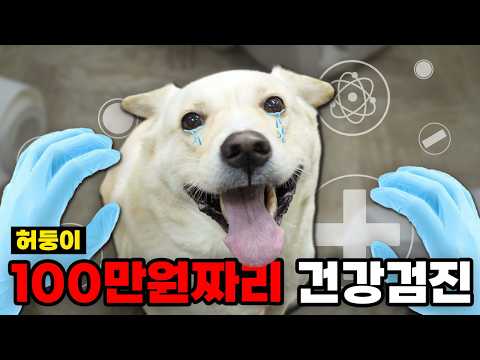 100만원짜리 허둥이 건강검진을 해보았습니다! thumbnail