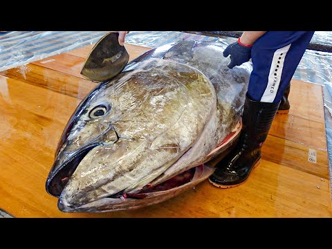 Masterful! Amazing Fish Cutting Skills Top 7! / 大師級刀工！精湛的切魚技巧合集 Top 7！ thumbnail