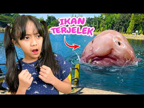 NIAT MANCING IKAN SAPU SAPU  ⁉️ SAMANTHA MALAH DAPAT IKAN TERJELEK RAKSASA DI DUNIA ? thumbnail