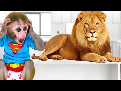 Monkey Baby Bon Bon confronts animals resurrected from a book thanks to a magic wand. thumbnail