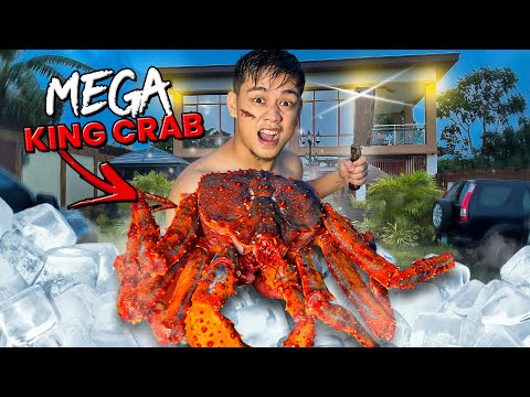 Bagong Alagang GIANT KING CRAB sa BG House thumbnail