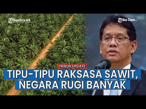 MANIPULASI Harga Ekspor 10 Perusahaan Besar CPO Dibongkar Menkeu Purbaya thumbnail