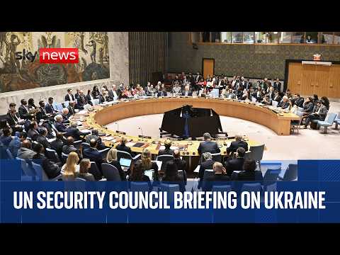 UN Security Council briefing on Ukraine thumbnail
