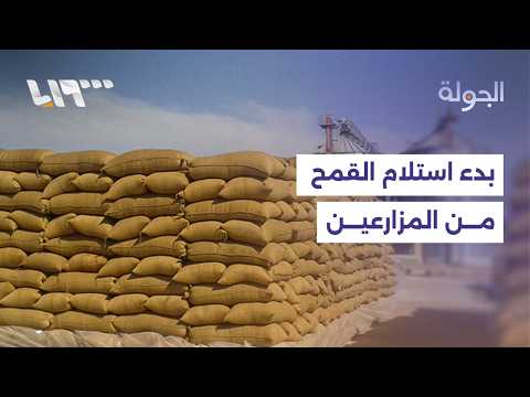 المؤسسة السورية للحبوب تبدأ استلام القمح من مزارعي اللاذقية وطرطوس.. التفاصيل مع مراسلتنا thumbnail