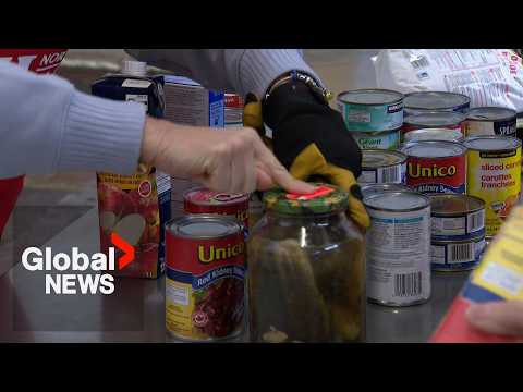 Food banks call for EI reform as food insecurity trends upward thumbnail