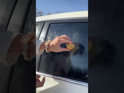 How to remove car stains yourself? #car thumbnail