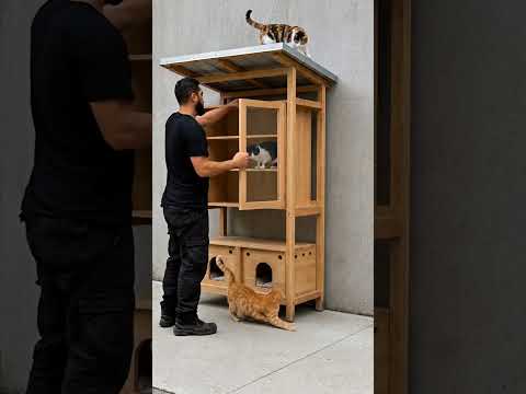 ✅ Building a Rain-Proof Street Cat Library with Free Book Exchange & Pedal Feeding System ?? thumbnail