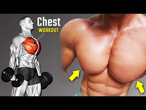 The Only Exercise For The Chest Workout With Dumbbells → Increase Their Size thumbnail