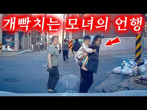 자식은 부모를 닮는다... 2026 최신블랙박스모음집 I 그것이 블랙박스 thumbnail