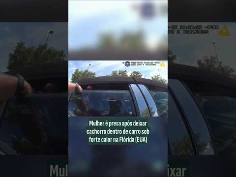 Crueldade animal: Mulher é presa na Flórida por deixar cão em carro sob calor de 43°C thumbnail