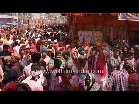 Lathmar Holi celebrations in Barsana near Mathura Uttar Pradesh thumbnail