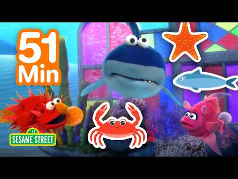 Elmo's Sea Creatures 🐠🦞🦈 | 1 HOUR | Sesame Street thumbnail