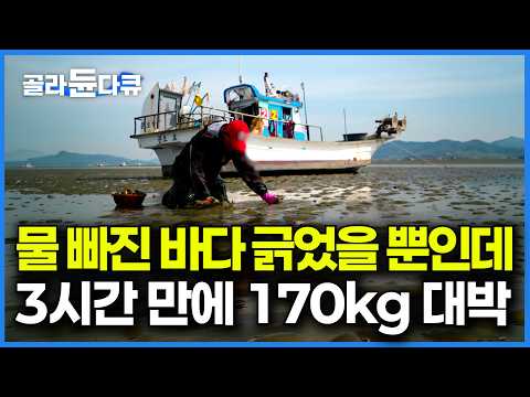 썰물 맞춰 바다 나가서 하루 딱 3시간｜물 빠진 바다 줍기만 했는데 170kg 대박이다｜며느리 데리고 아버지 배 물려받으러 온 아들｜한국기행｜#골라듄다큐 thumbnail