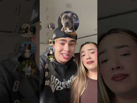 ESTE SERÁ NUESTRO PRÓXIMO PERRO 🐶❤️ thumbnail