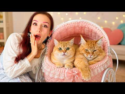 MAM DWA KOTY NA 24H!! thumbnail