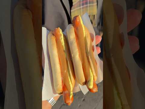 O MELHOR HOT DOG DA ISLÂNDIA? thumbnail