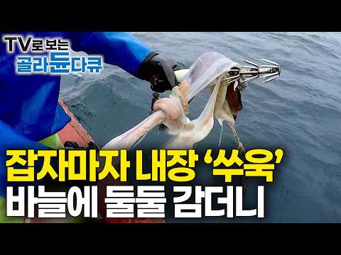 어획량 세계 2위인데 안 먹어요? "한국으로 대량 수출" 우리가 먹는 해산물 어떻게 잡나 봤더니｜인간과 바다｜#골라듄다큐 thumbnail