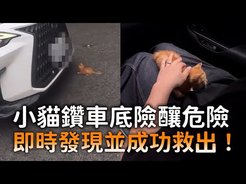 小貓鑽車底險釀危險　即時發現並成功救出！ thumbnail