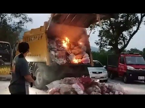 不用開去焚化爐了 thumbnail