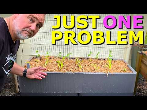 EASIEST Raised Garden Bed Planter I've EVER Built thumbnail