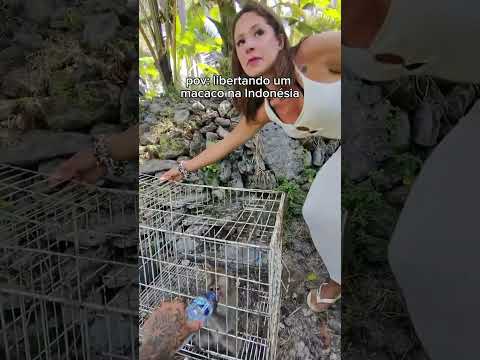 Libertando um macaco na Indonésia.🐒😭 #nathaliavalente thumbnail