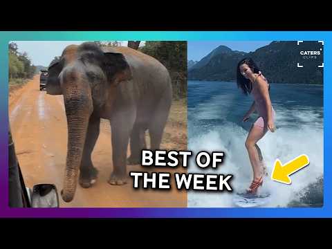 The Best Videos Of The Week thumbnail