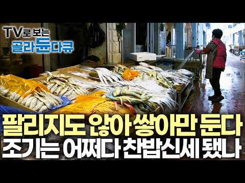 한때 전설이라 불리던 국민 생선 조기는 다 어디로 갔나. 무분별한 남획이 불러온 조기 파시의 쓸쓸한 결말ㅣ다큐프라임ㅣTV로 보는 #골라듄다큐 thumbnail