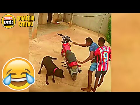 5 Minutos para Rir! 😂 Vídeos Engraçados 2024 - Tente Não Rir #17 thumbnail