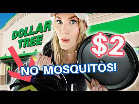 6 Dollar Tree Summer Hacks That Are Scandalously Good! 👀 🔥 thumbnail