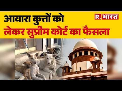 Supreme Court Verdict on Stray Dogs : SC का पूराना आदेश बरकरार |  Delhi NCR thumbnail